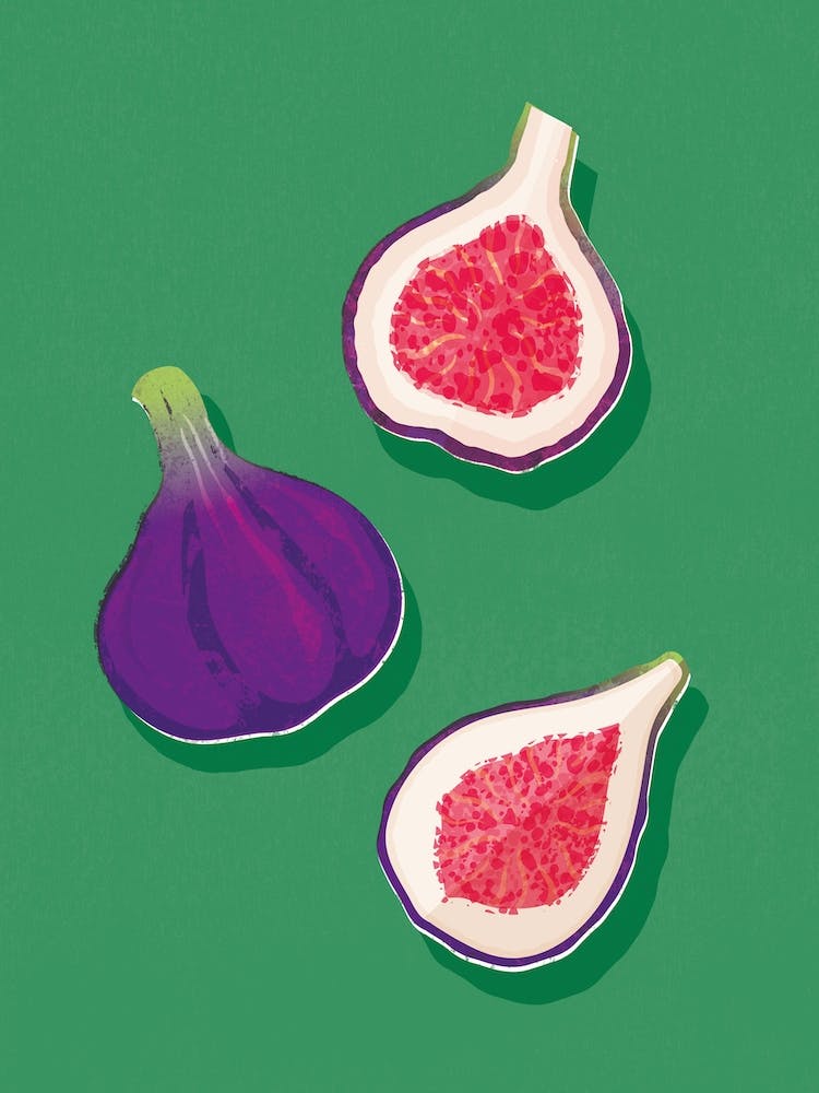 Fig