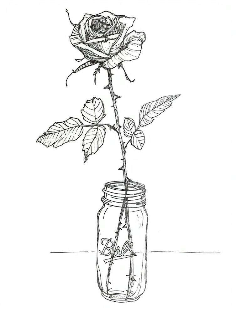English Rose In A Jar Line Drawing 4