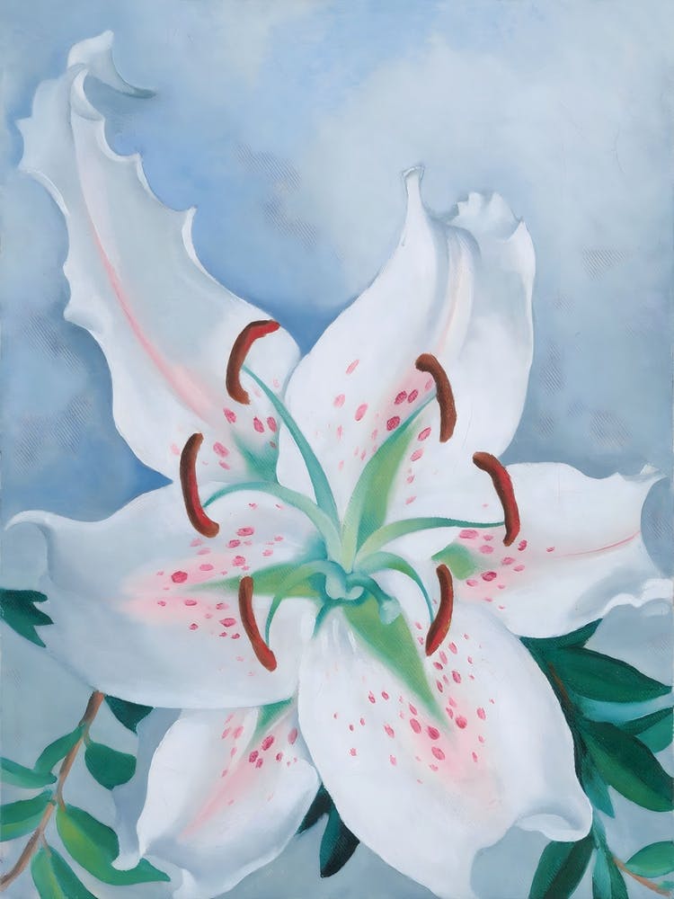 Georgia O'Keeffe - Pink Spotted Lily