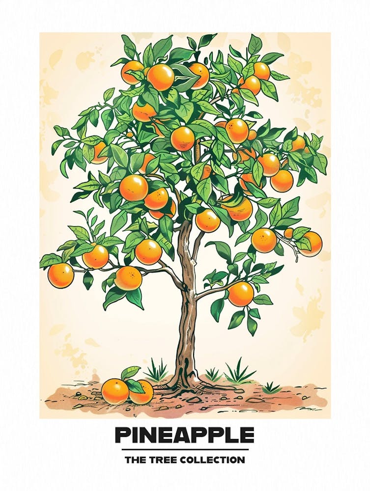 Pineapple Tree Storybook Illustration 1 Poster