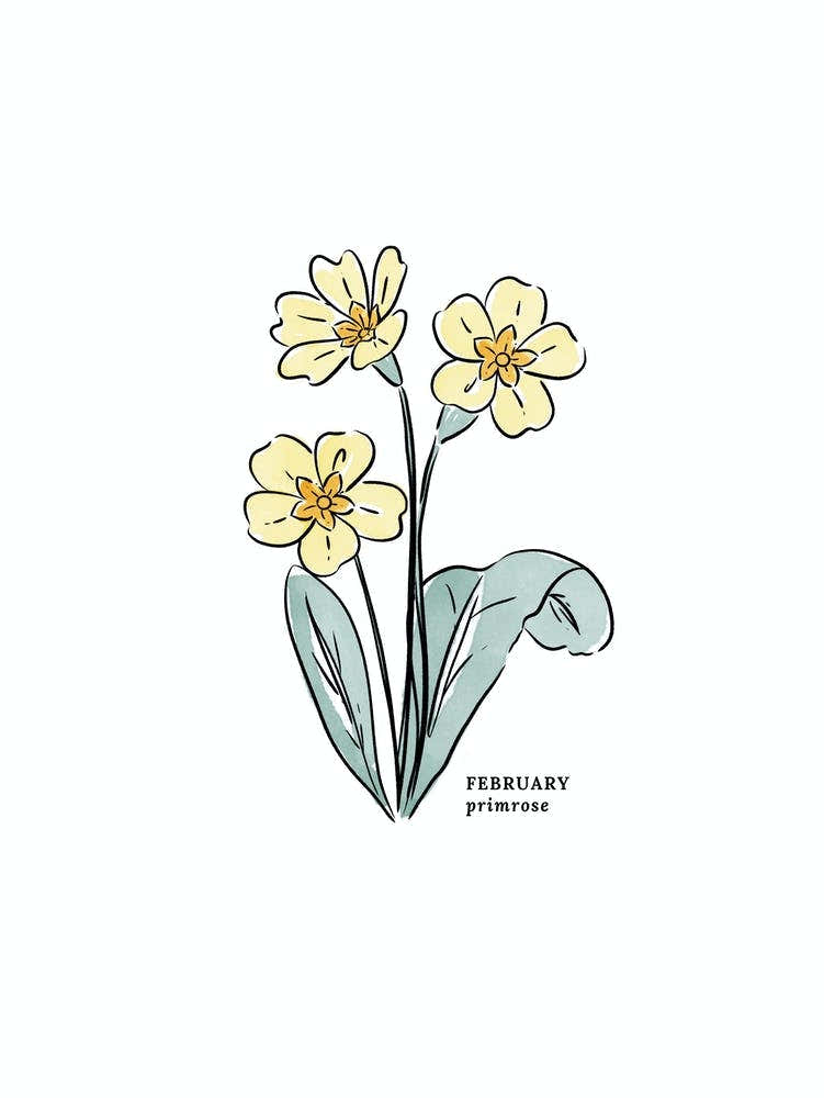 February Primrose Birth Flower 1