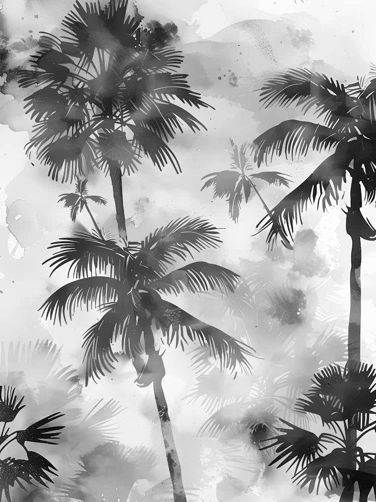 Palm Trees In Black And White