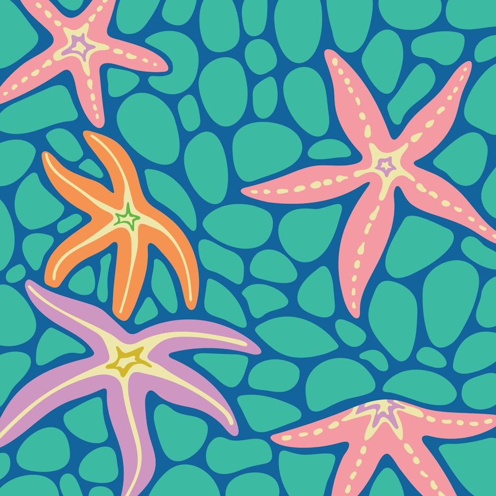 SEA STARS Coastal Beach Ocean Starfish in Bright Summer Colours