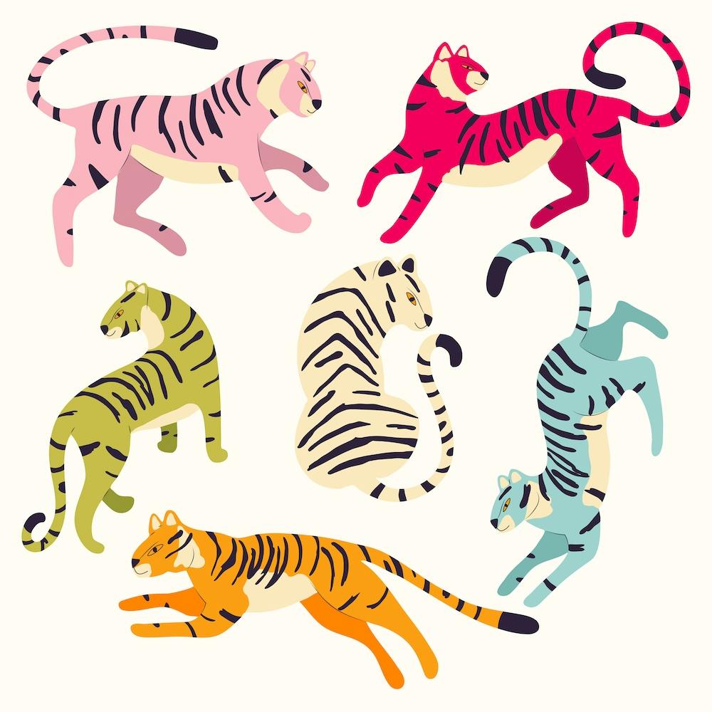 Colorful Tigers On White Square