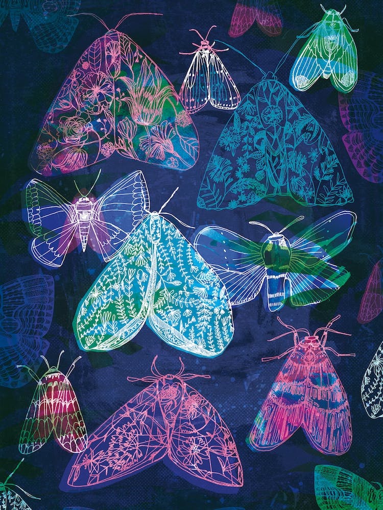 Floral Night Moths