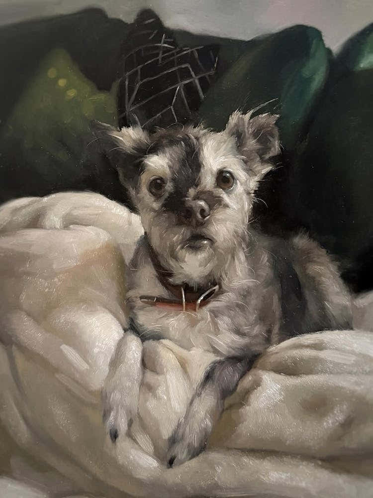 Chihuahua