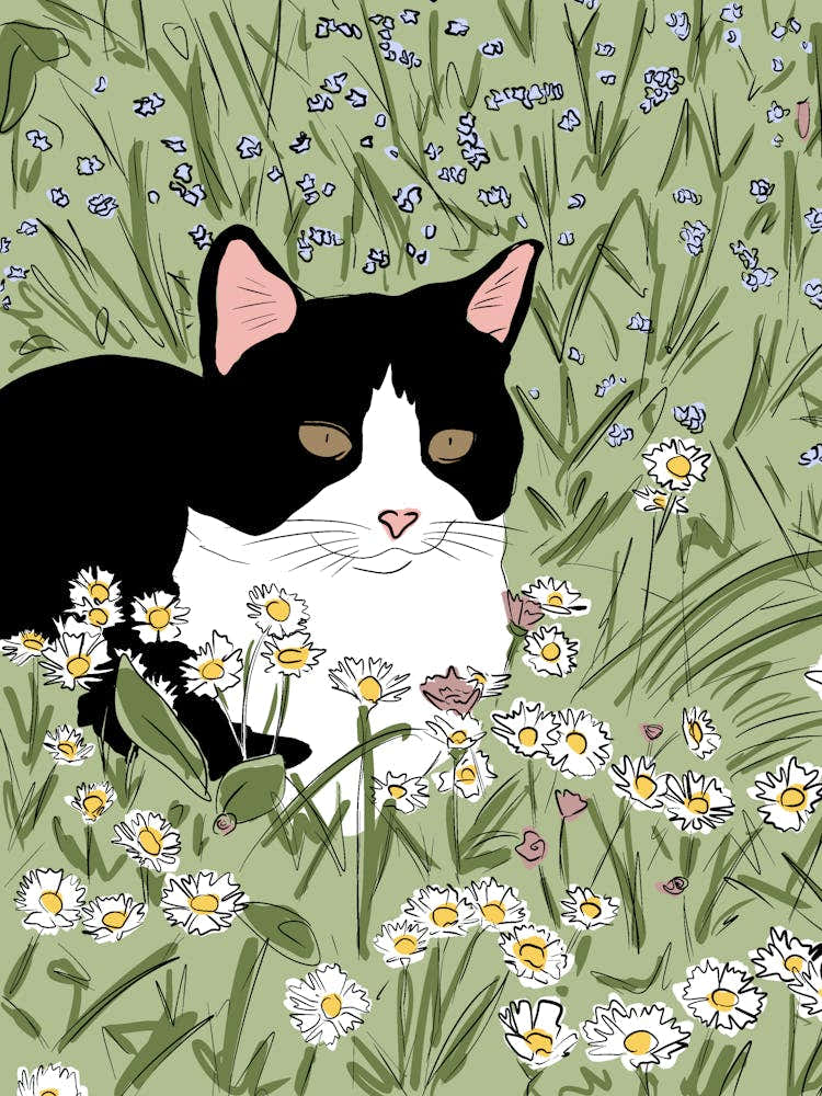 Tuxedo cat chilling on a prairie full of daisies illustration - into the garden