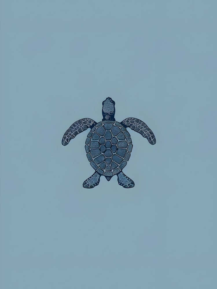 Sea Turtle 6