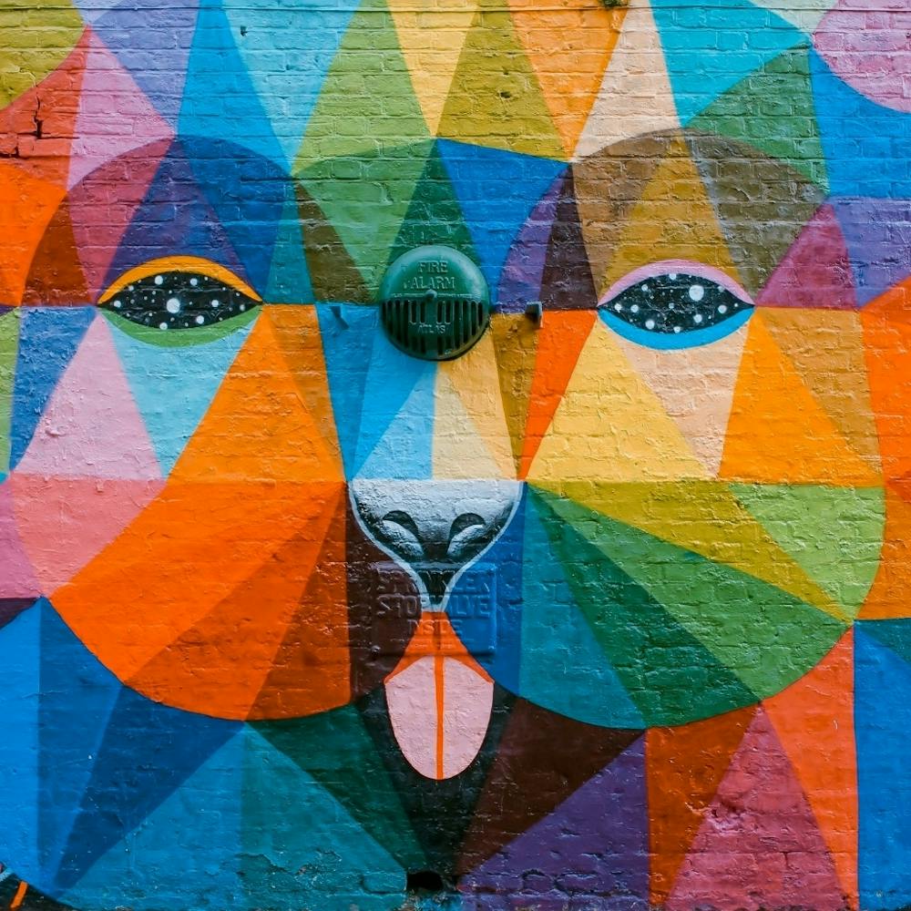Lion'S Face