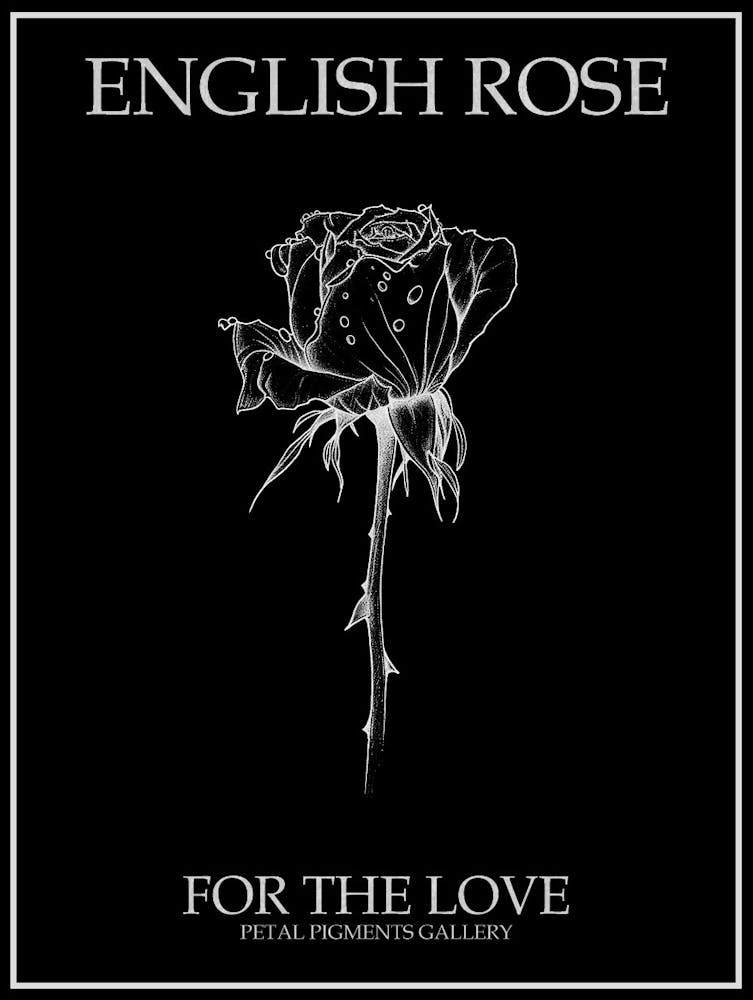 English Rose Black And White Line Drawing 26 Poster Inverted