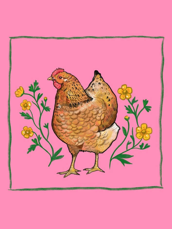 Hen Buttercups