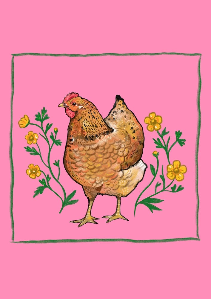 Hen Buttercups