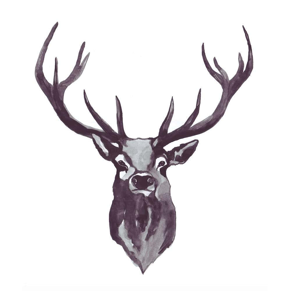Mountain Love   Stag