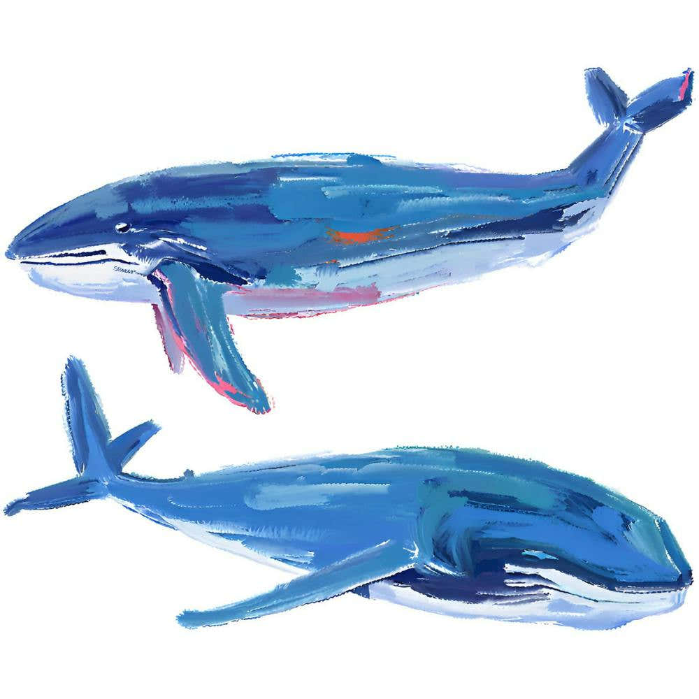 Blue Whale 02