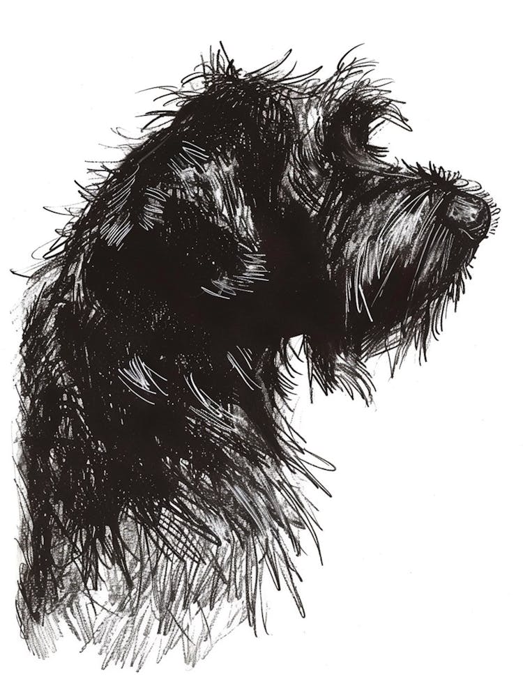 Long Hair Furry Dog Line Sketch 2