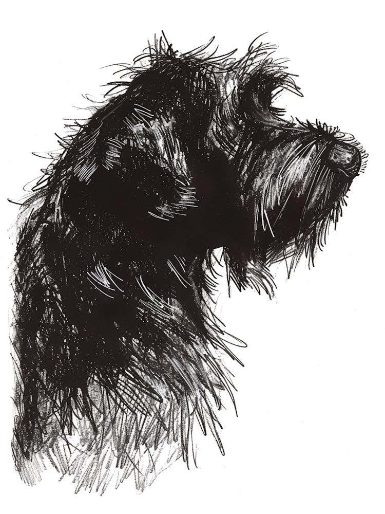 Long Hair Furry Dog Line Sketch 2