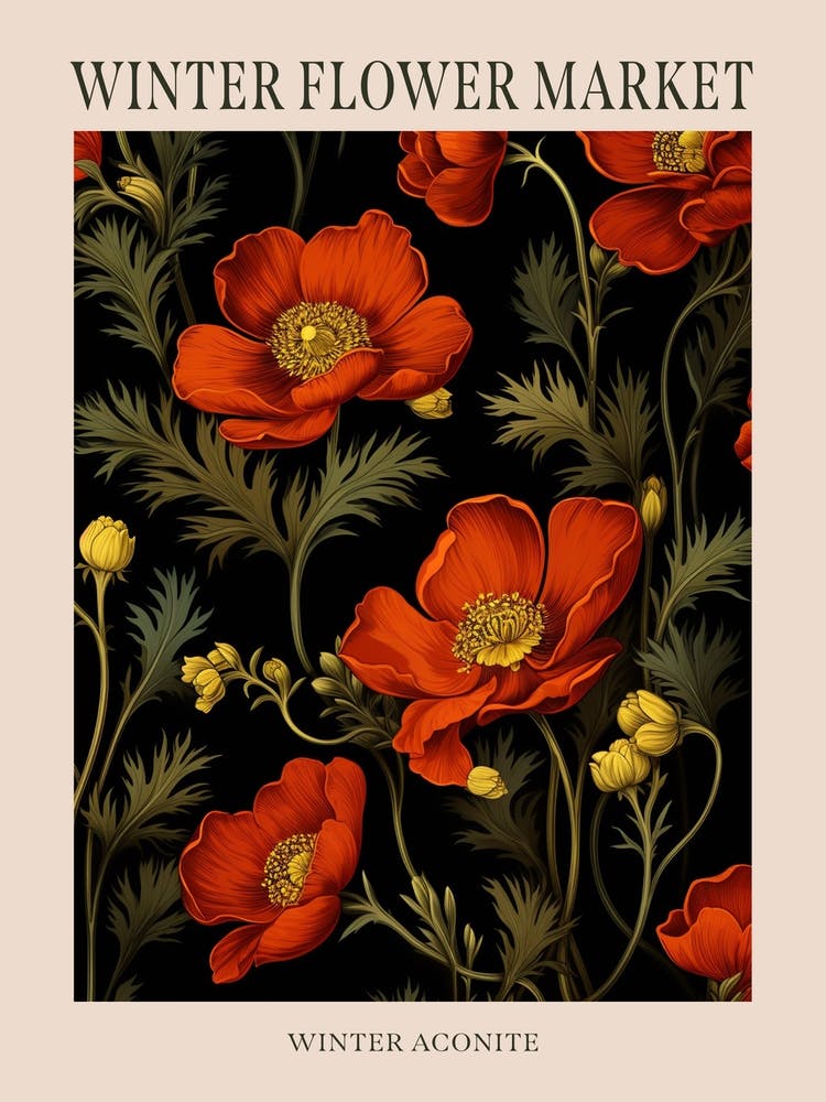 Winter Aconite 3 Winter Flower Market Poster