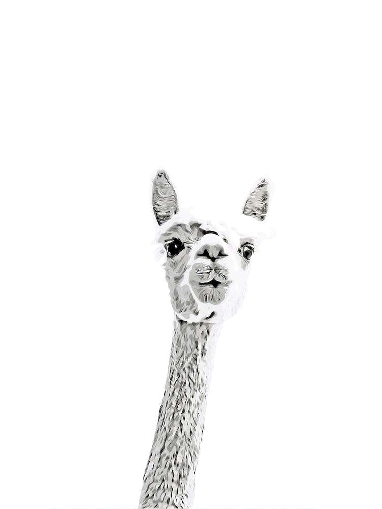 Cute Alpaca Watercolor