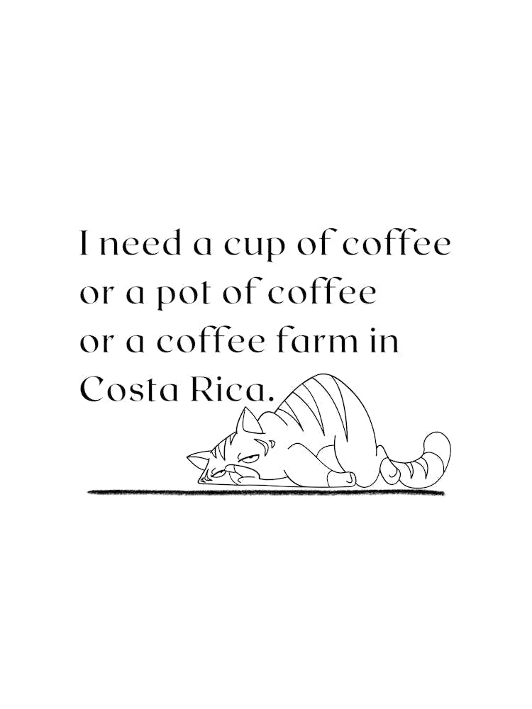 I need a cup of coffee... - Cat