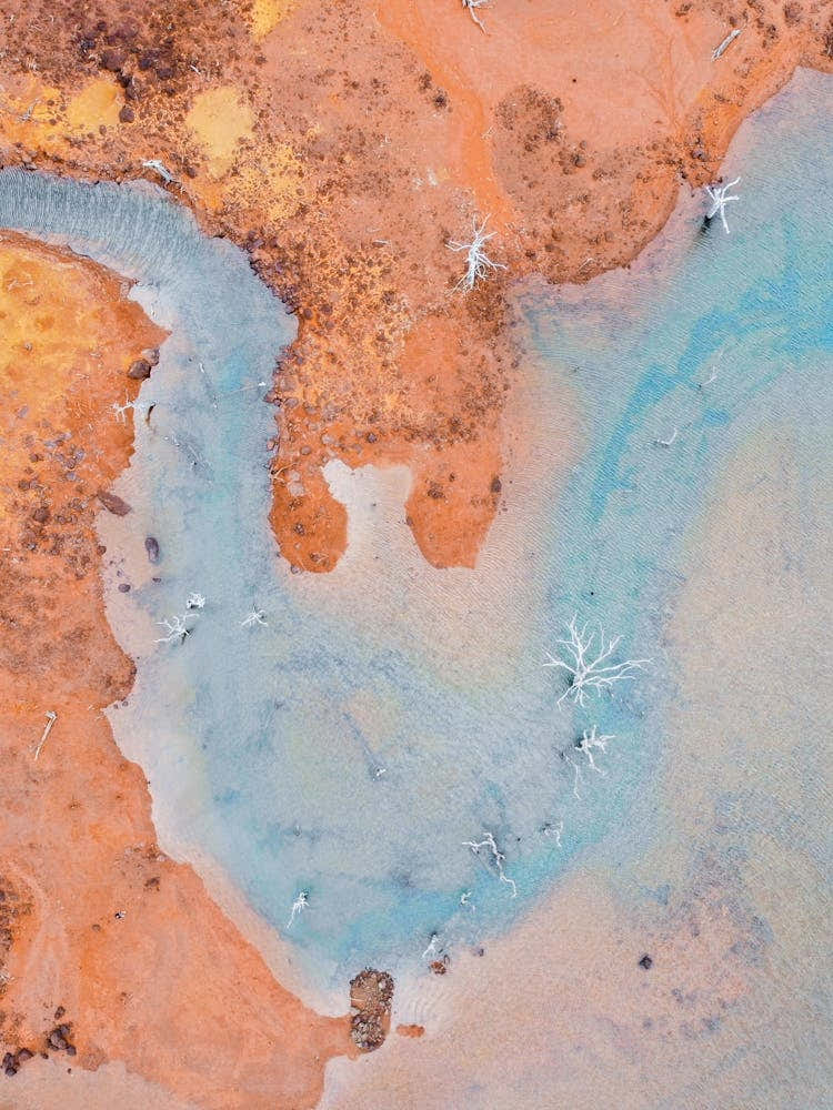 Aerial View Of Yellowstone Lake