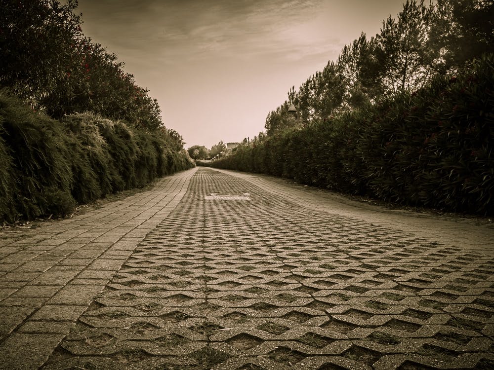 Paved Road Sepia Colored Walkway In The Park