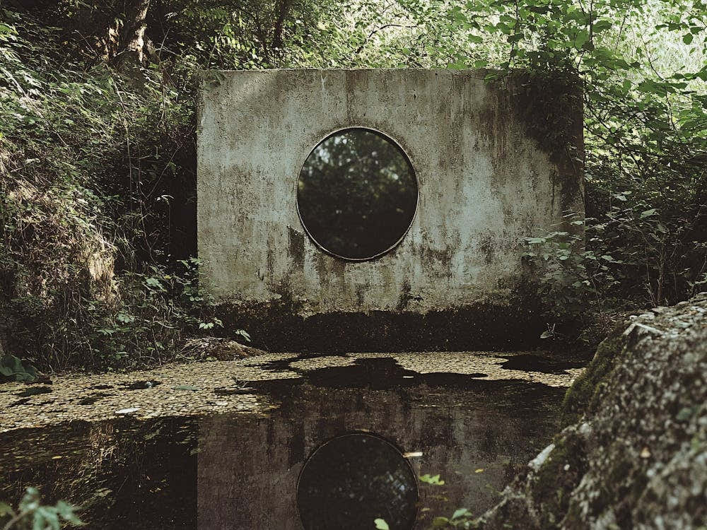 House In The Woods 4