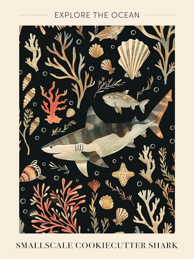 Smallscale Cookiecutter Shark Seascape Black Background Illustration 2 Poster