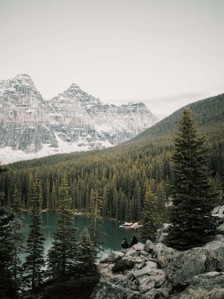 Mountain Forest Scenery