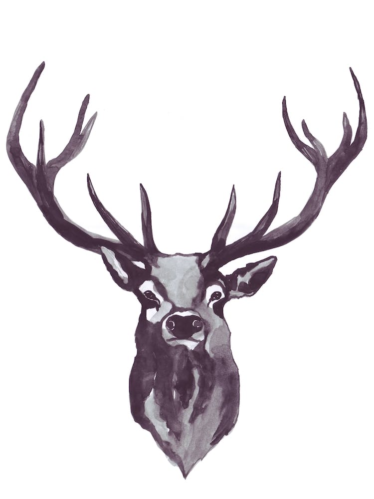 Mountain Love   Deer Head