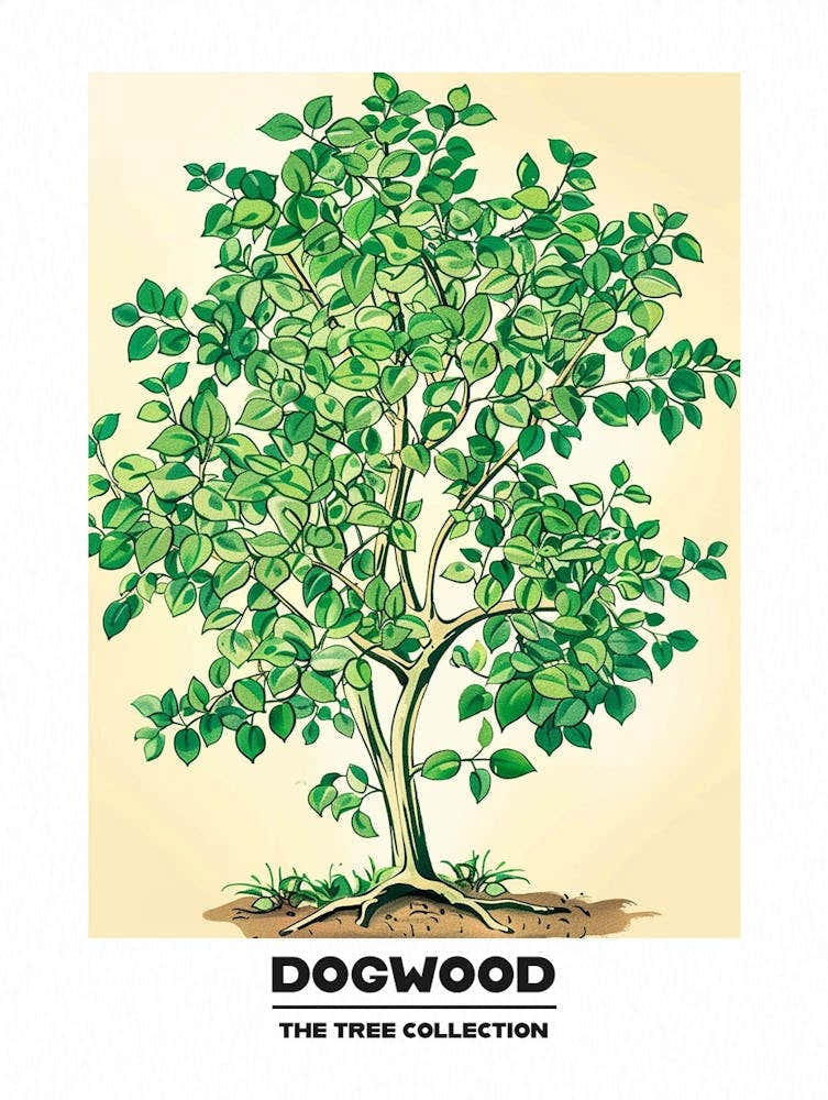 Dogwood Tree Storybook Illustration 3 Poster