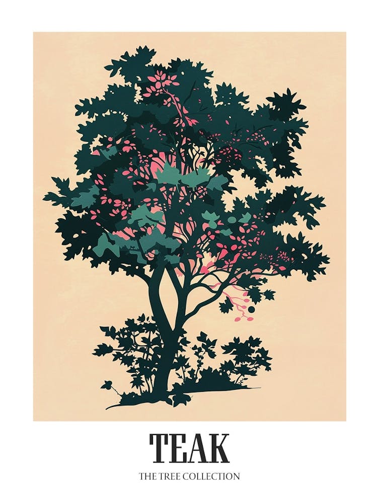 Teak Tree Colourful Illustration 3 Poster