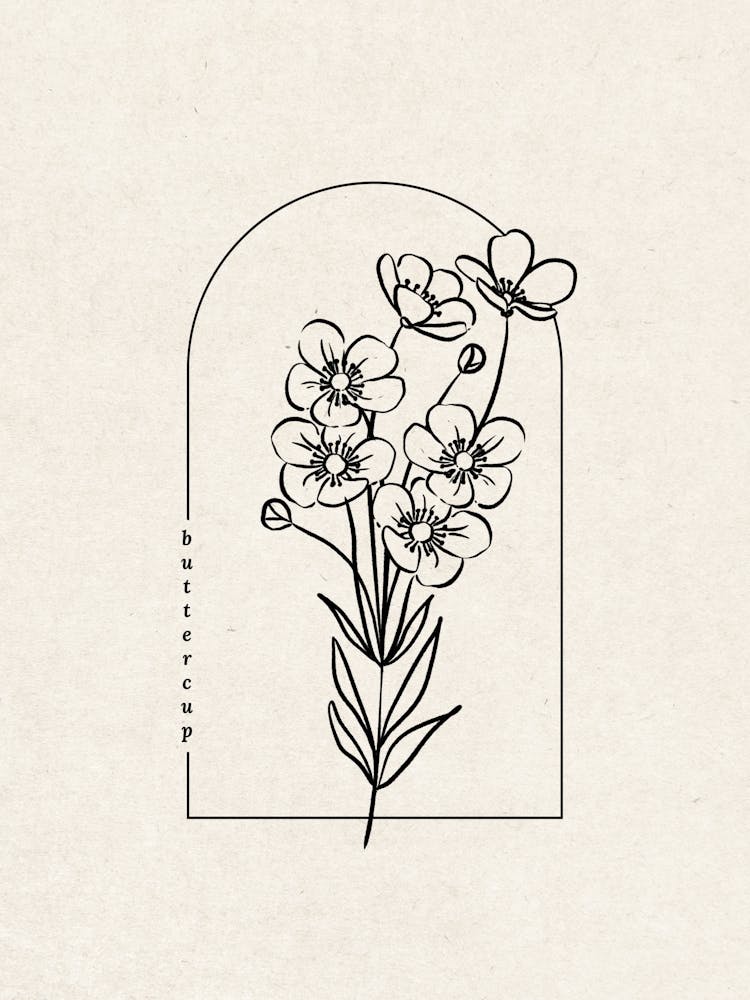 Buttercup Flower