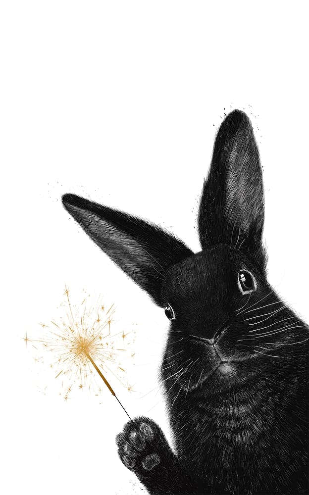 Rabbit With Sparkler