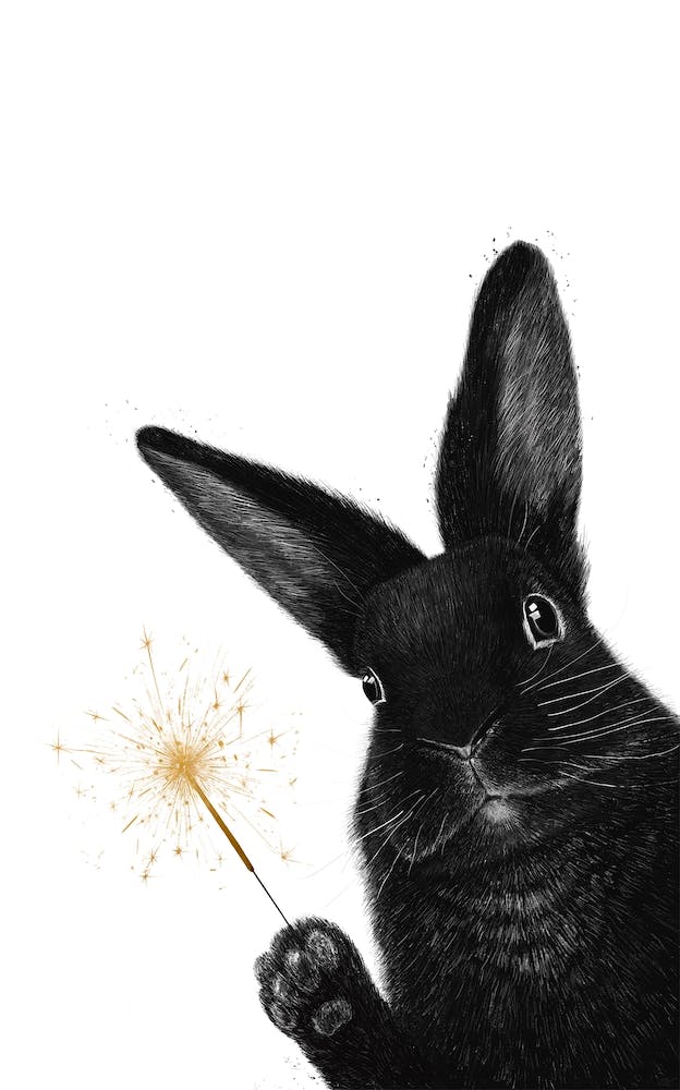 Rabbit With Sparkler