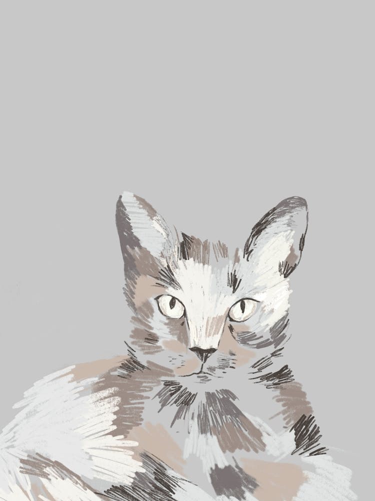 Cat Portrait Gray
