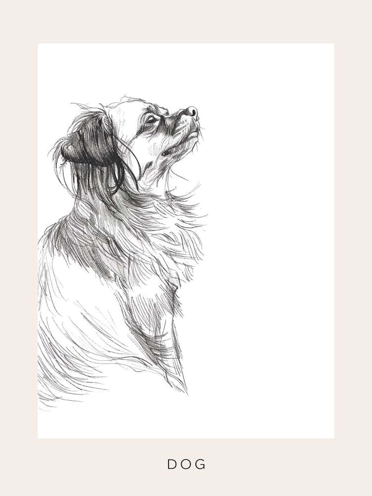 Dog Portrait Line Sketch 1 Poster