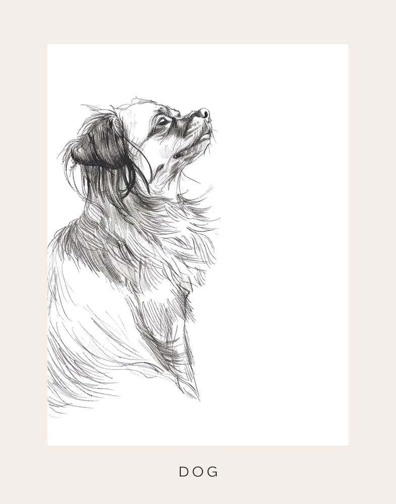 Dog Portrait Line Sketch 1 Poster