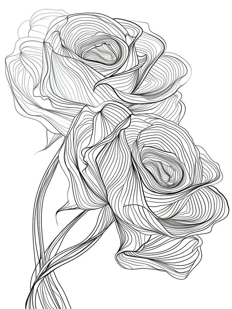 Roses Sketch 5
