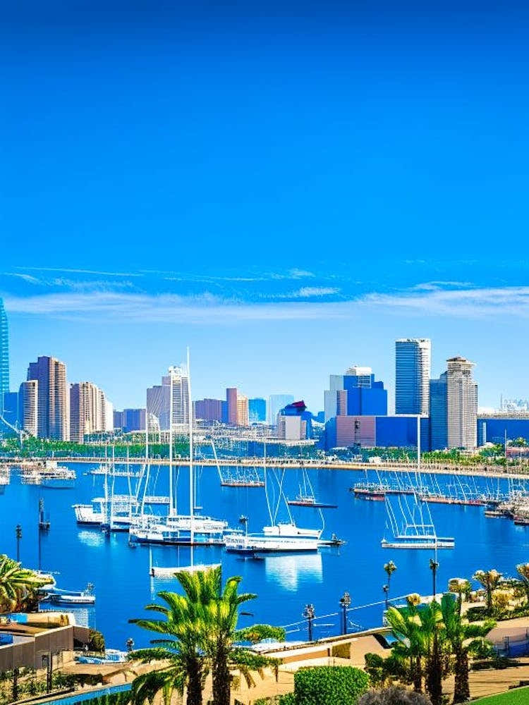 San Diego  Photography