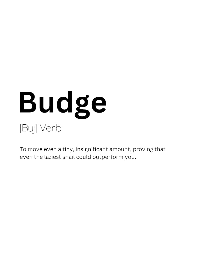Budge Definition Meaning