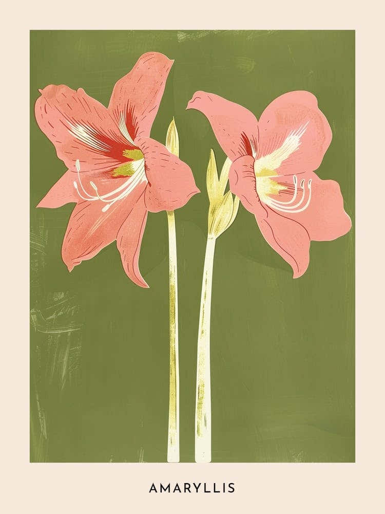 Pink & Green Amaryllis 5 Flower Poster