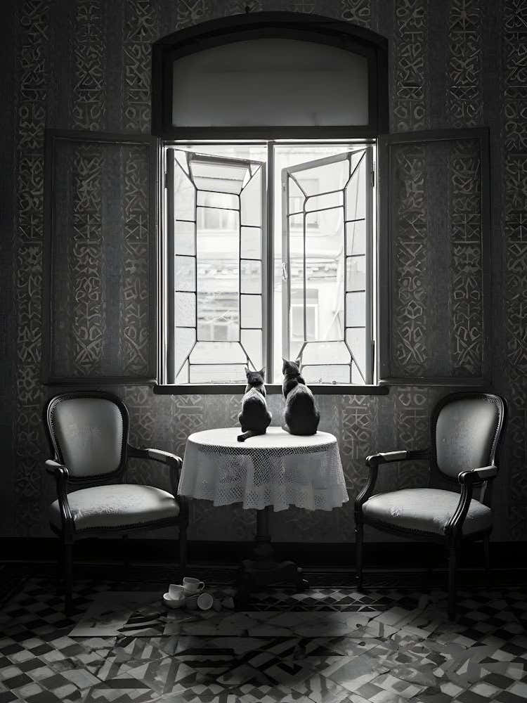 Two Chairs In A Room