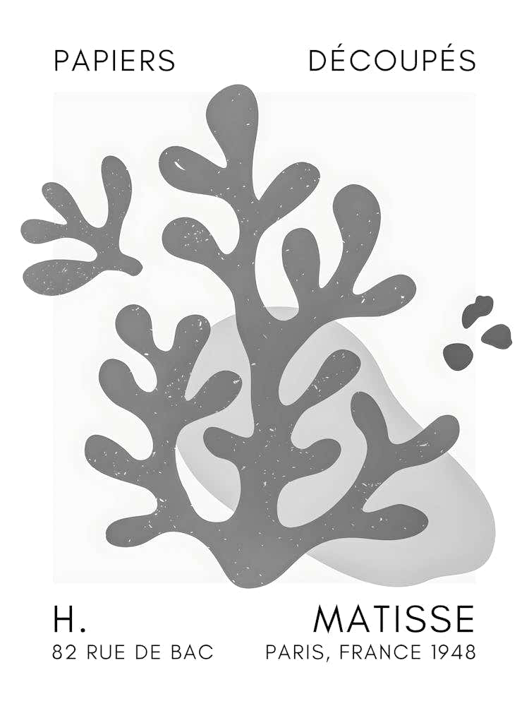 H Matisse 17
