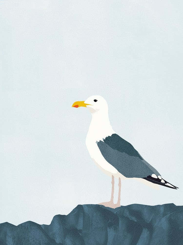 Seagull Illustration Blue and Grey Minimalist Coastal
