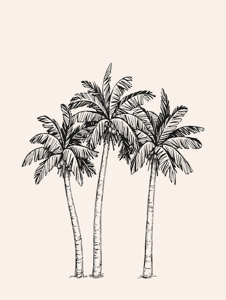Neutral Palm Trees
