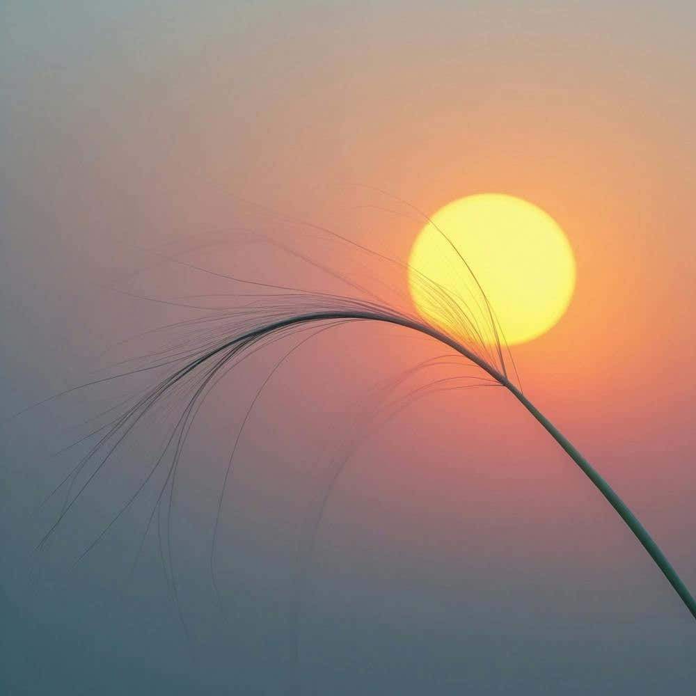 Sunset - Sunset Stock Videos & Royalty-Free Footage