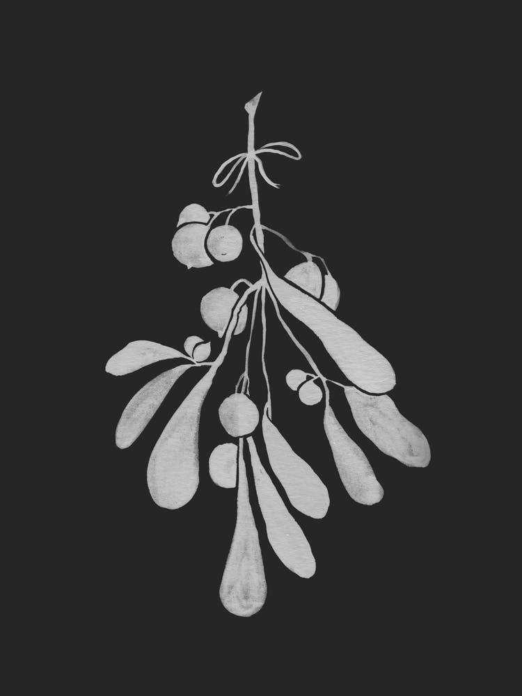Mistletoe