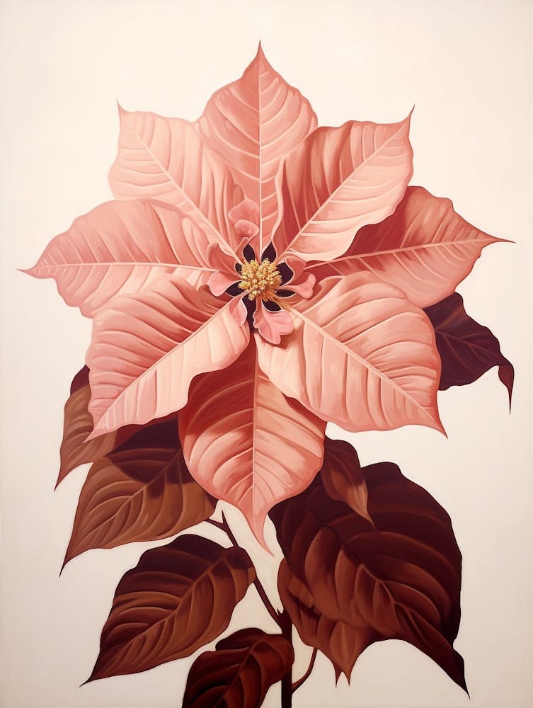 Floral Illustration Poinsettia 3