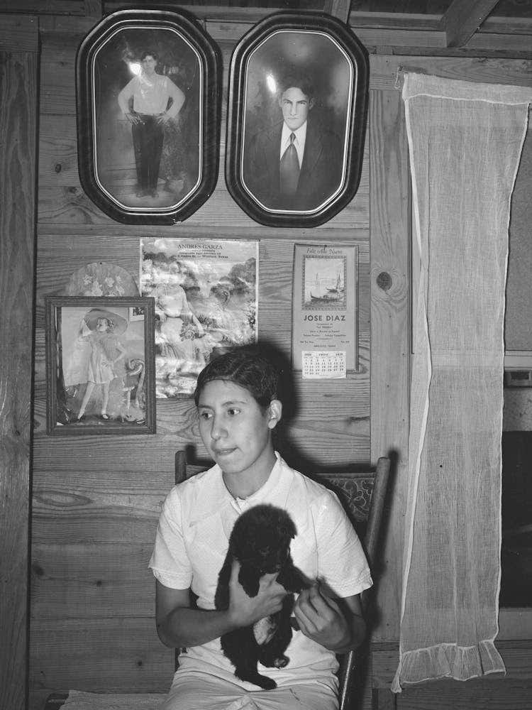 Daughter Of Mexican Farm Family At Home, Portraits Of Family Are Above Her, Near Santa Maria, Texas By Russell Lee