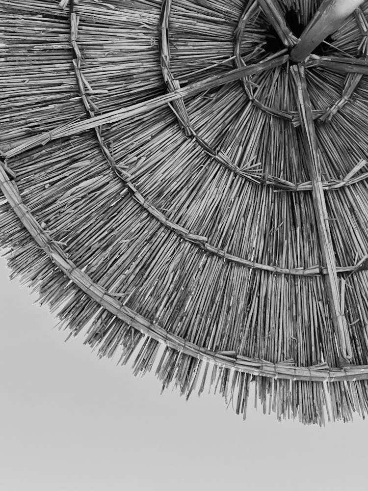 Black And White Umbrella